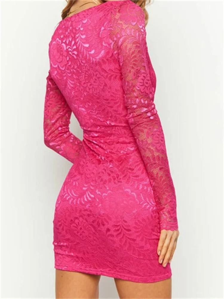 Pencil Lace Floral Deep V-Neck Mini Dresses