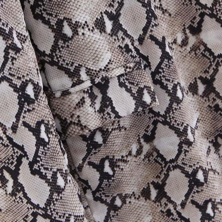 Karina Snake Print Blazer Jacket