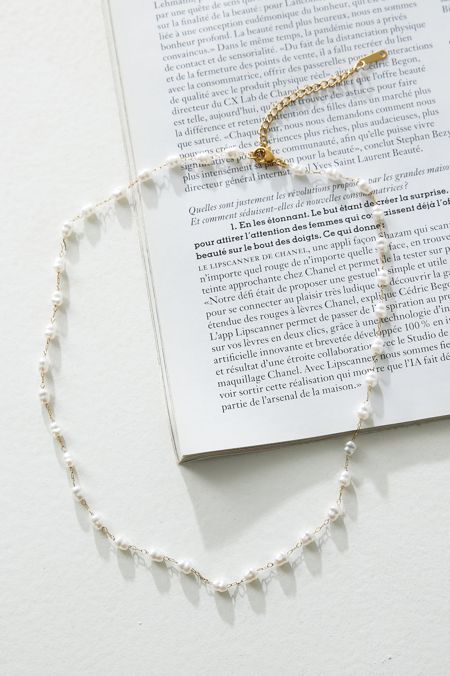 Snake Bone Chain Clover Bracelet Set