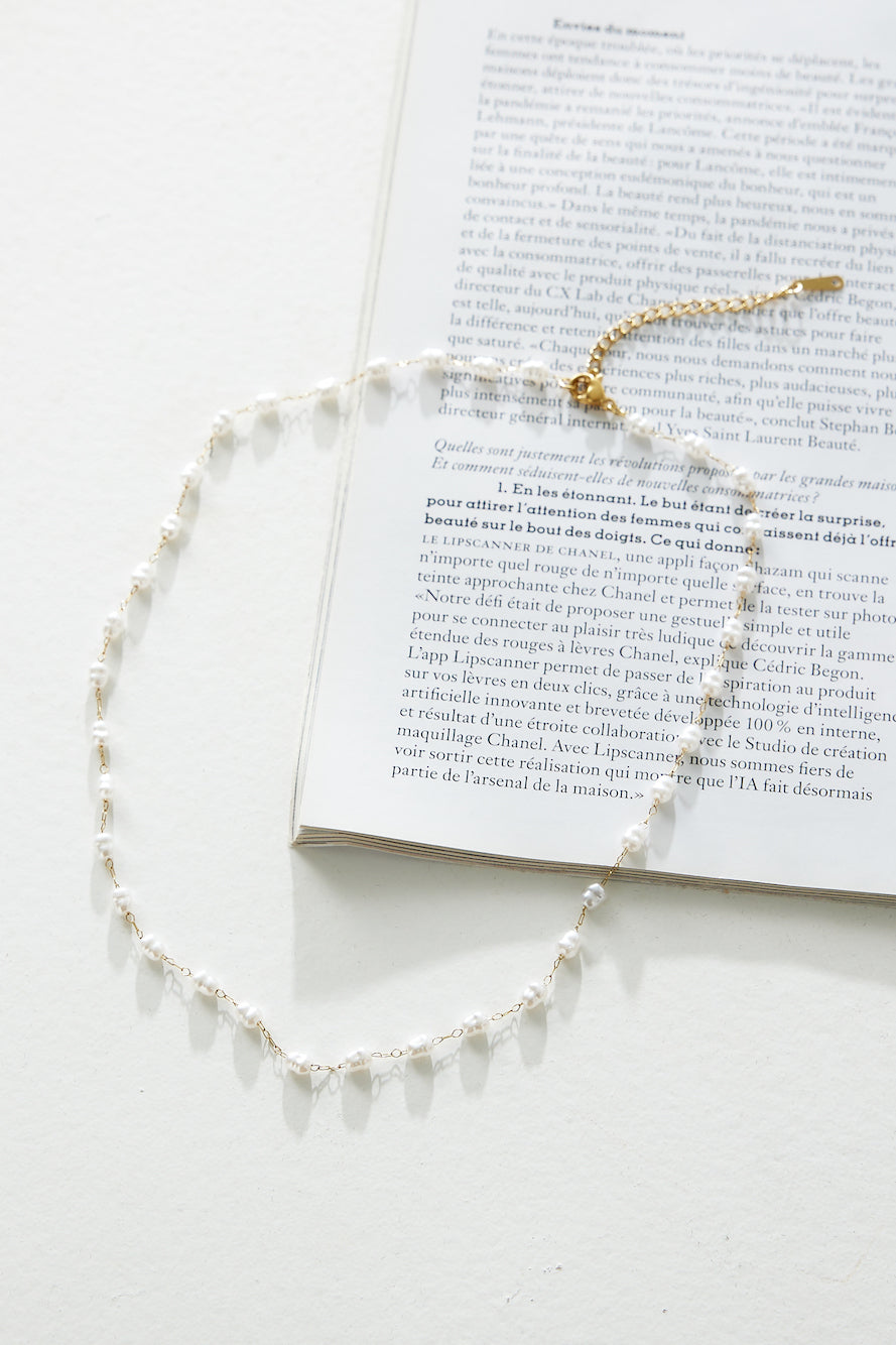 Snake Bone Chain Clover Bracelet Set