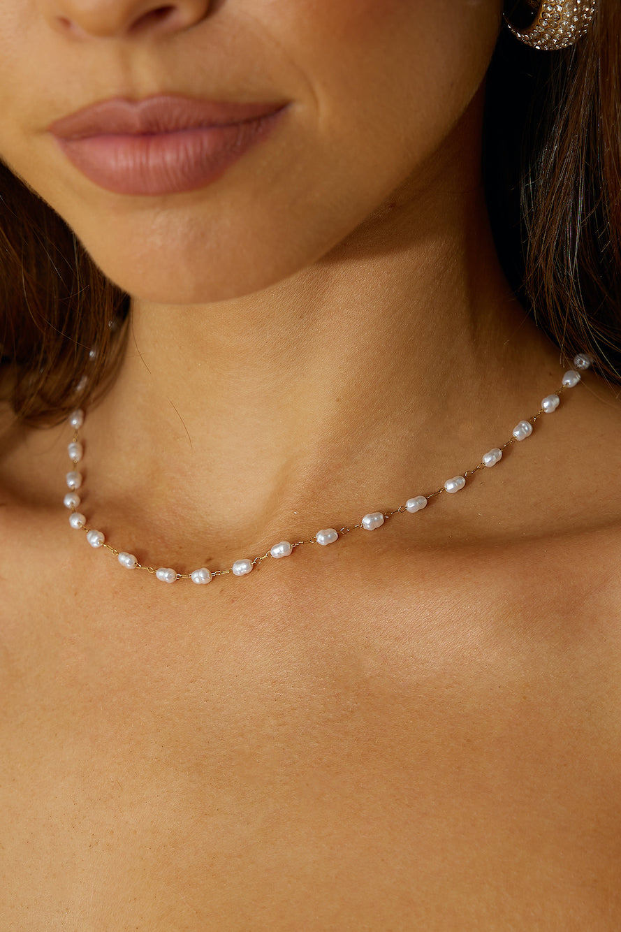 Snake Bone Chain Clover Bracelet Set