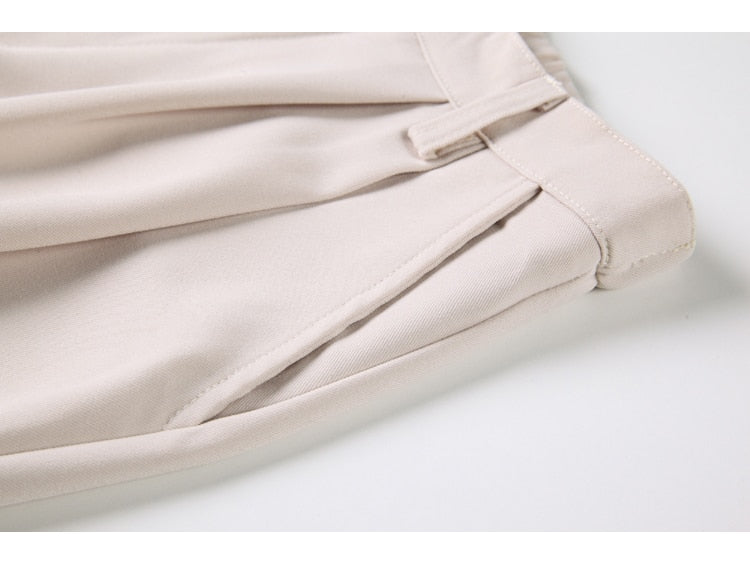 Maige Pleated Wide Leg Pants - 2 Colors