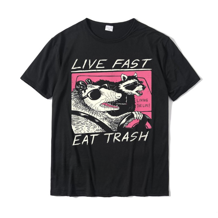 Mouse and Raccoon Graphic Cartoon T-Shirts - 3 Colors