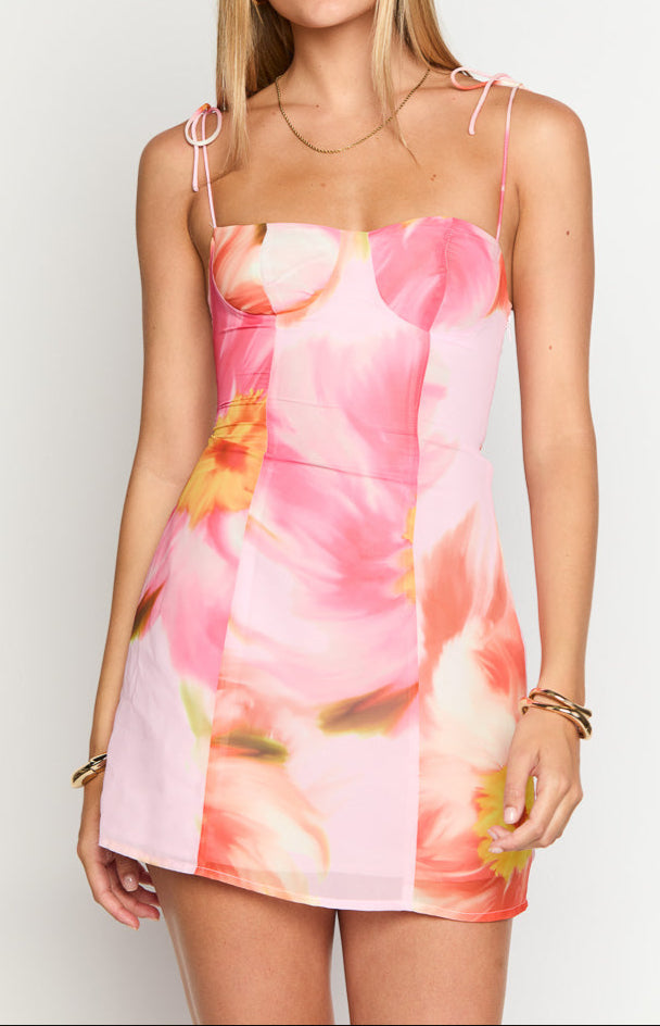 Isabella Pink Floral Kisses Mini Dress