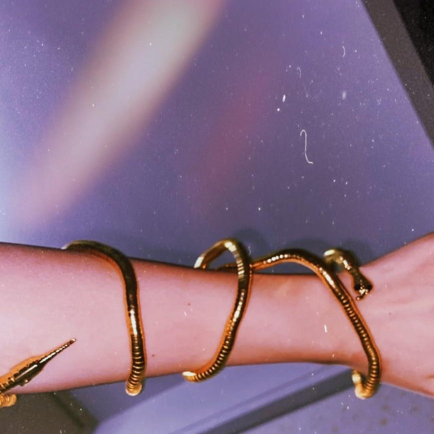 Rayna Serpentine Metal Necklace and Bracelet - 3 Colors