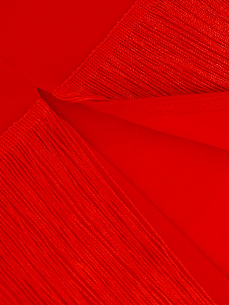 Red Tassel Dresses V-Neck Fringe Cocktail Event Party Outfits