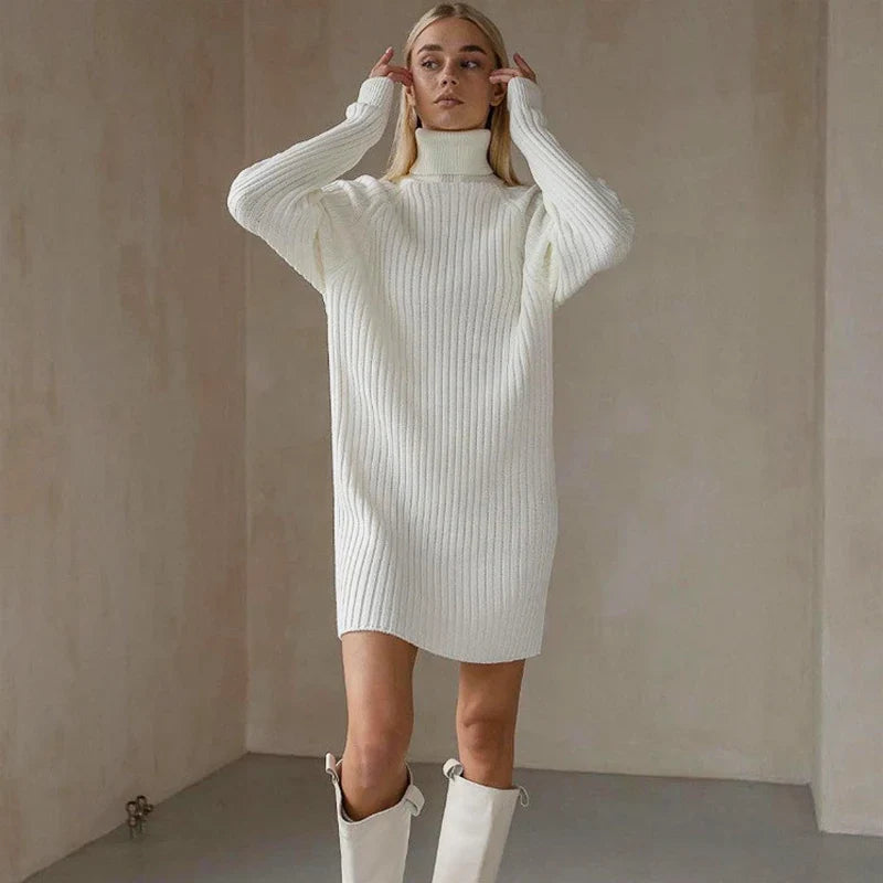 Teressa Turtleneck Knit Mini Dress