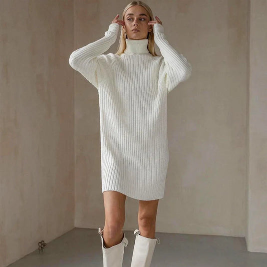 Teressa Turtleneck Knit Mini Dress