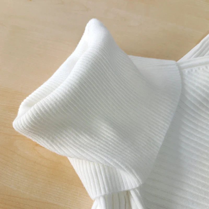 Teressa Turtleneck Knit Mini Dress