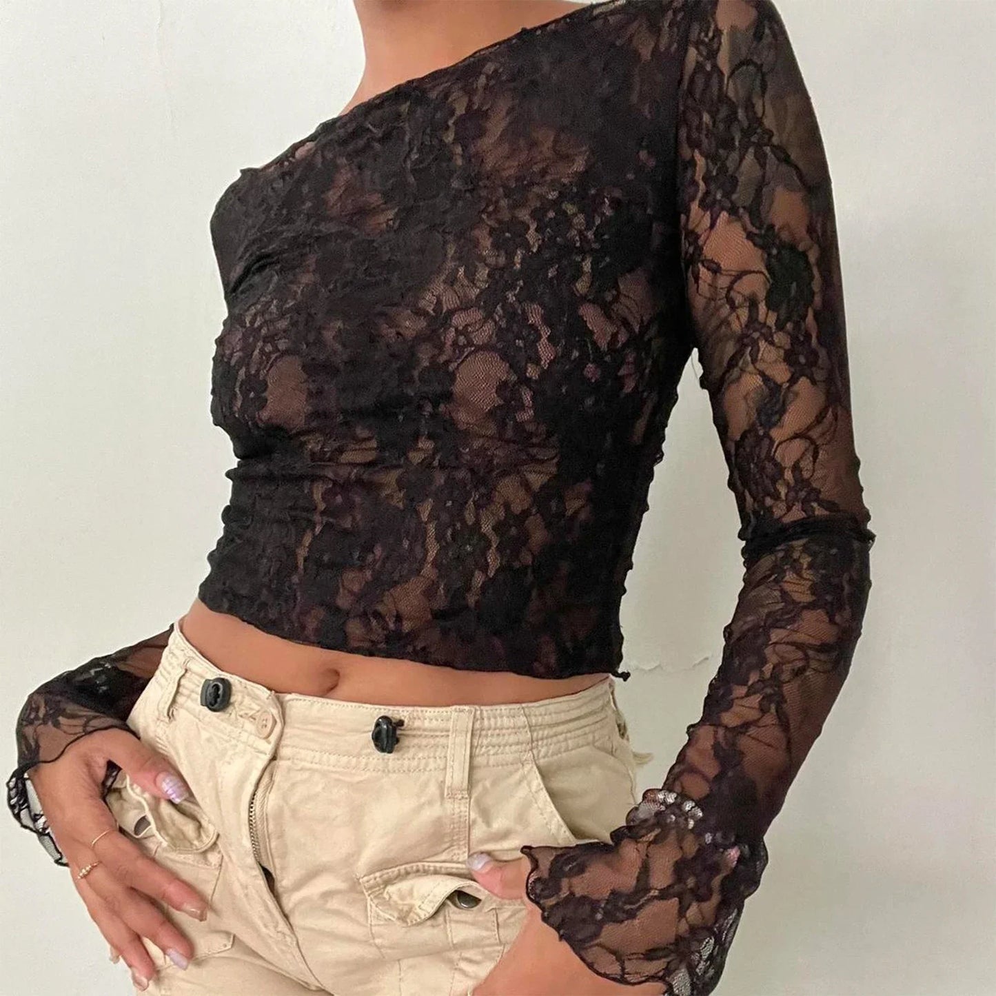 Lace Mesh Crop Sheer Top