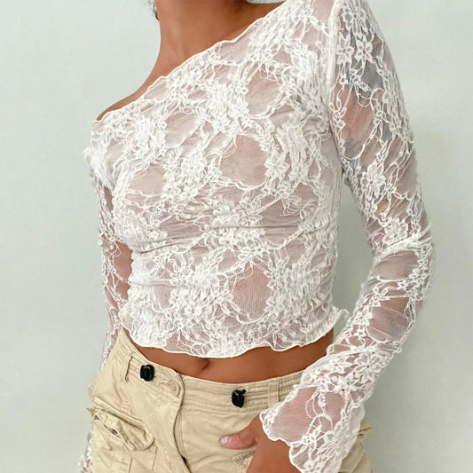 Lace Mesh Crop Sheer Top