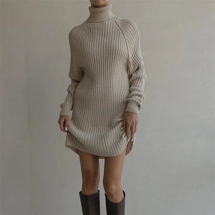 Teressa Turtleneck Knit Mini Dress