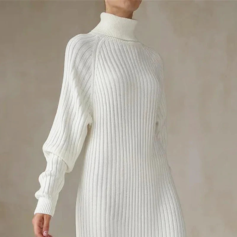 Teressa Turtleneck Knit Mini Dress