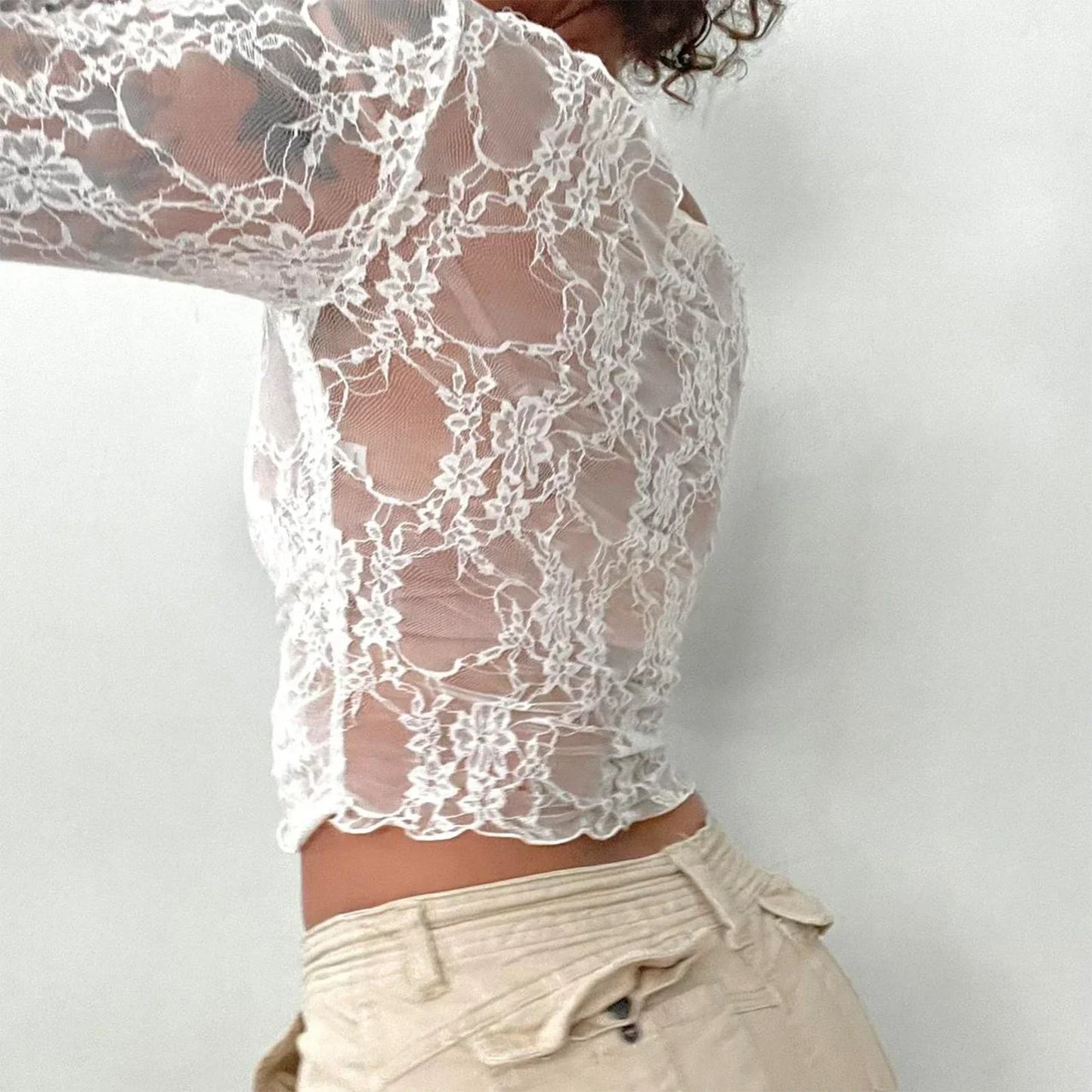 Lace Mesh Crop Sheer Top