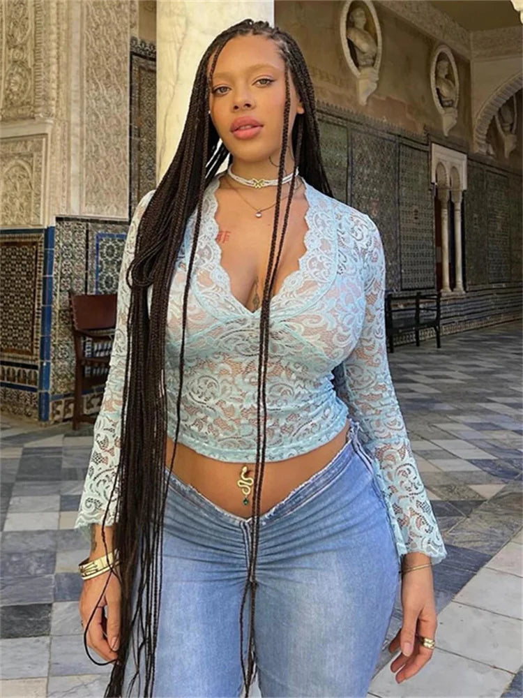 Flare Sleeve Lace V-Neck Sheer Top