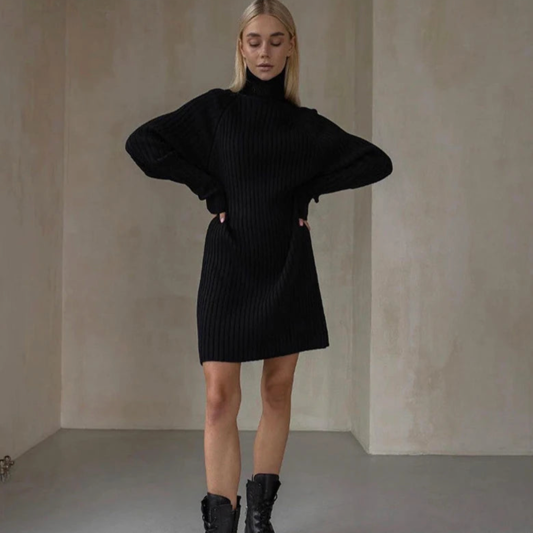 Teressa Turtleneck Knit Mini Dress