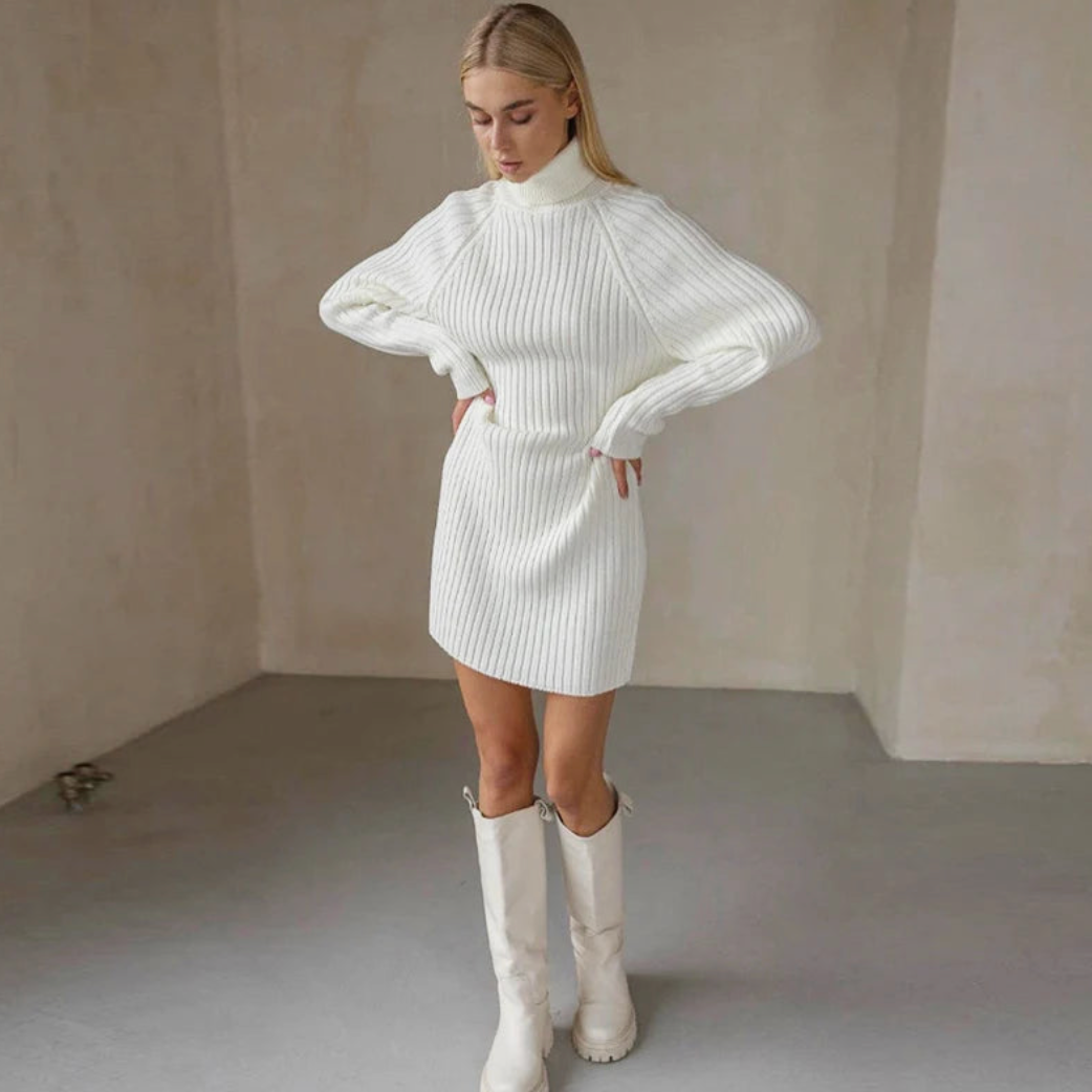 Teressa Turtleneck Knit Mini Dress