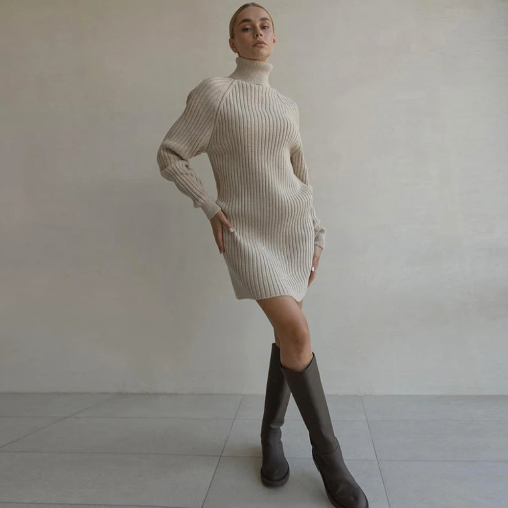 Teressa Turtleneck Knit Mini Dress