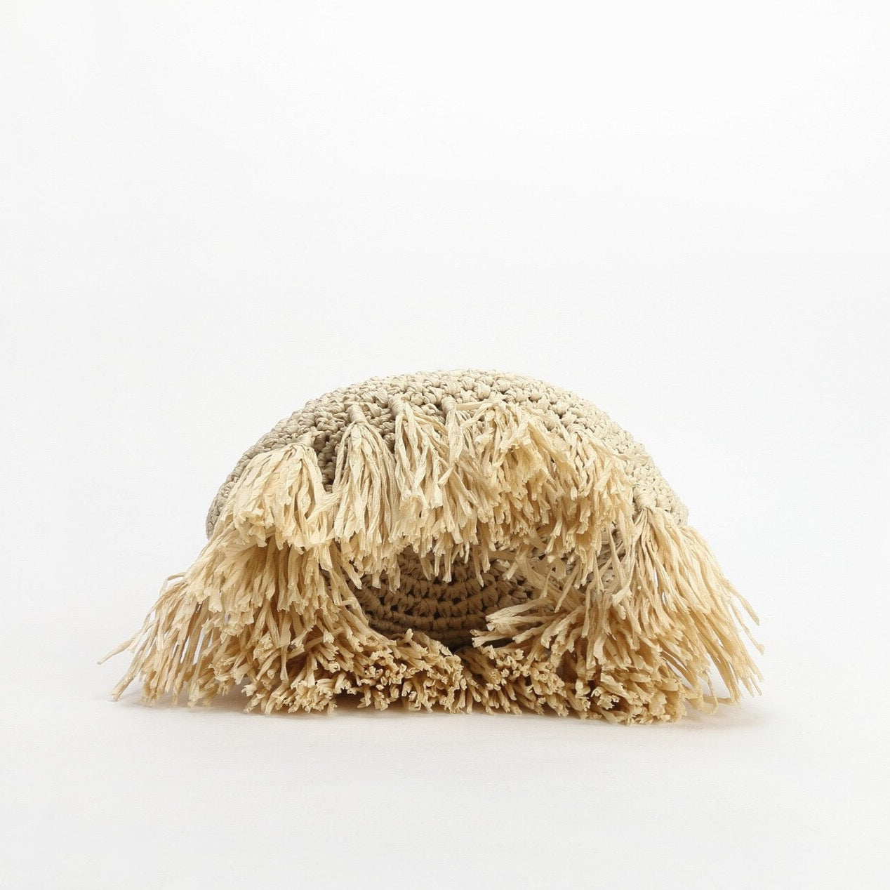 Taffe Bohemian Tassels Straw Hobo Bags  - 2 Colors