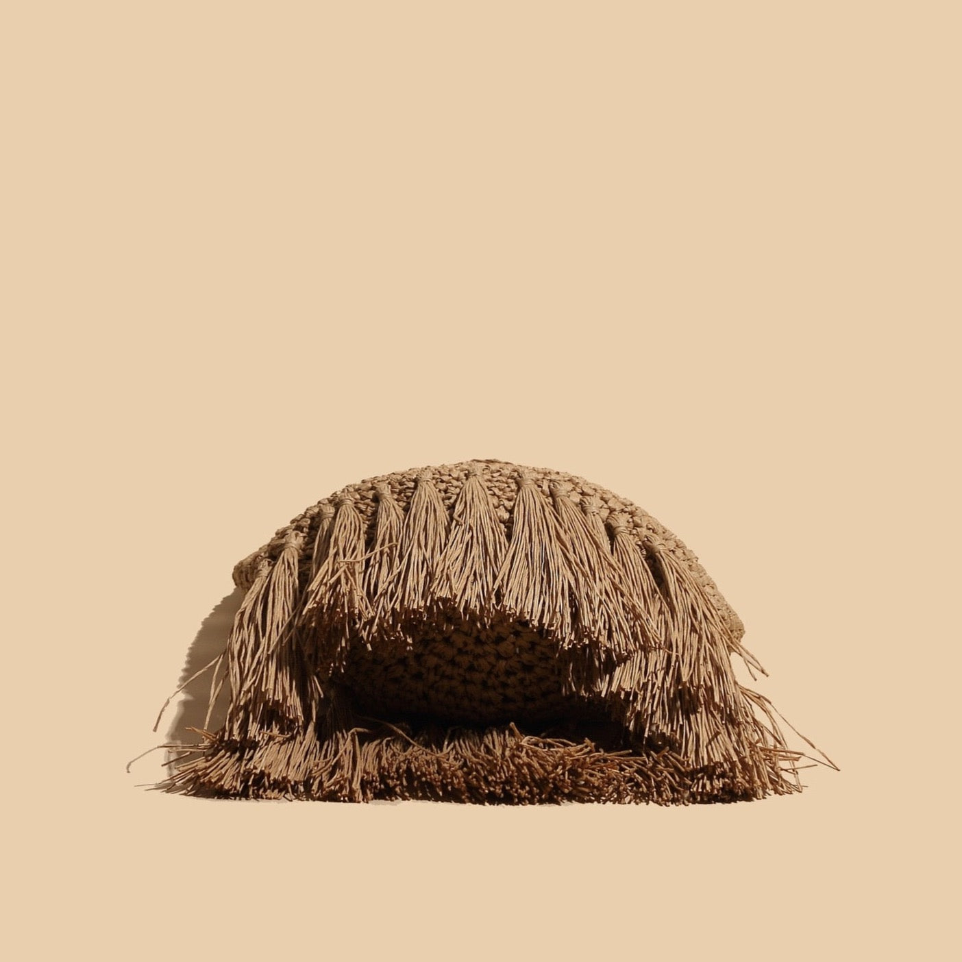 Taffe Bohemian Tassels Straw Hobo Bags  - 2 Colors