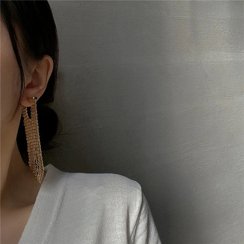 Tarcy Cascade Chain Mail Tassel Earring