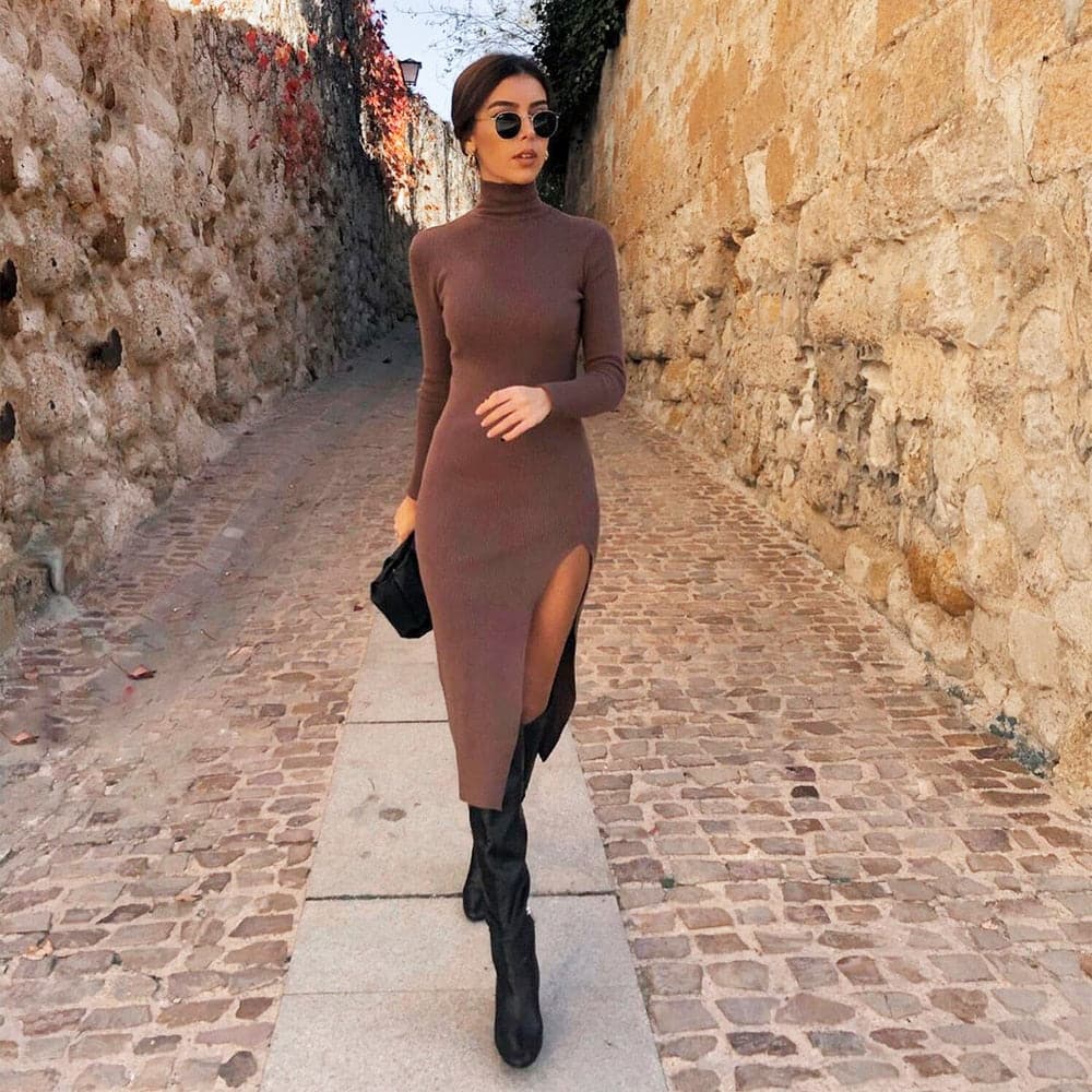 Long Sleeves High-Neck Elastic Midi Dress