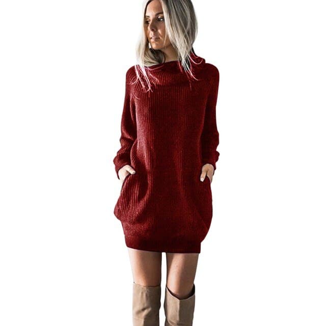 Womens Turtleneck Knitted Dress